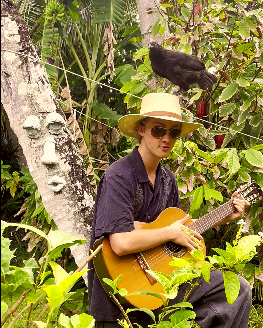Dylan Leitenberg playing classical guitar in a tree, in a straw hat and sunglasses, with a chicken perched on the hat