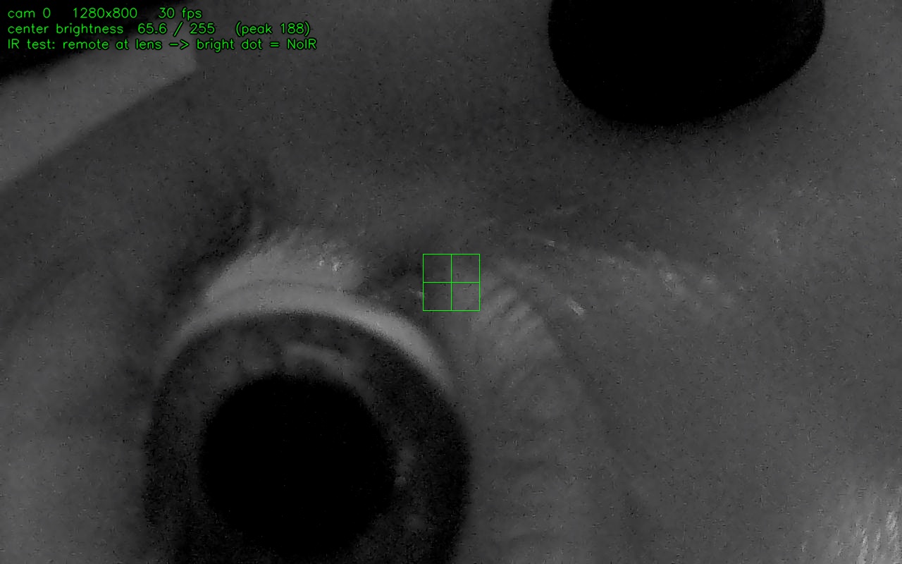 Raw eye-camera frame with the tracker's green lock box on the inner eye corner